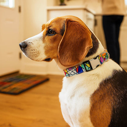 collier chien reve boheme blanc beagle maitre cuisine