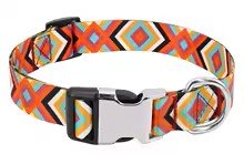 collier chien reve boheme orange