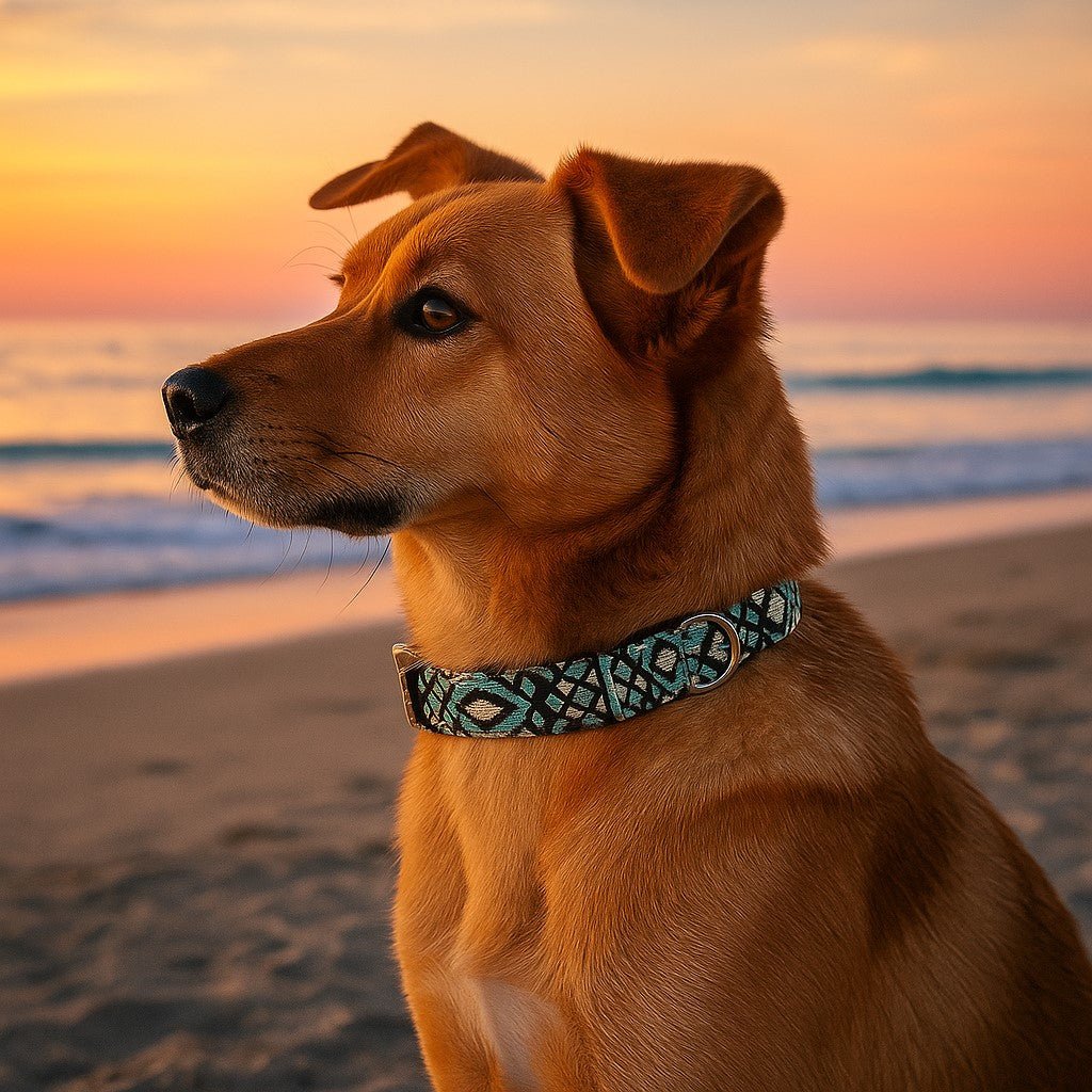 collier chien reve boheme turquoise potcake roux