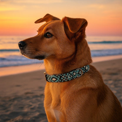 collier chien reve boheme turquoise potcake roux