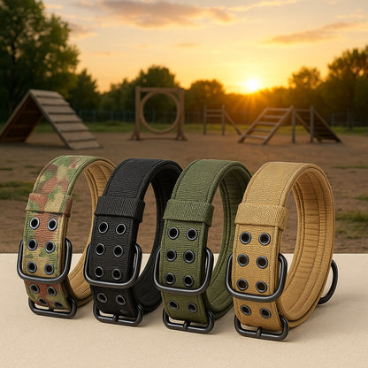 collier chien tacticalcollar presentation quatre couleur coucher soleil