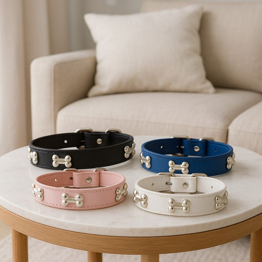 collier pour chien leatherbonecollar presentation quatreb couleurs