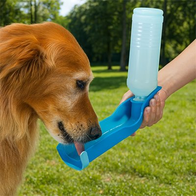 gourde pour chien hydra buddy bleu golden retriever boit dans un parc