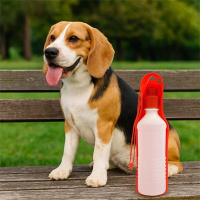 gourde pour chien hydra buddy rouge beagle assis sur banc de parc