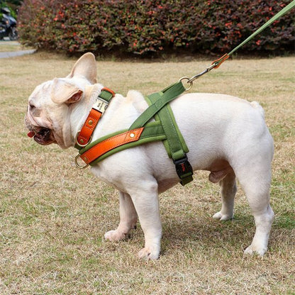 harnais anti traction chien easywalker vert militaire bouledogue francais jardin