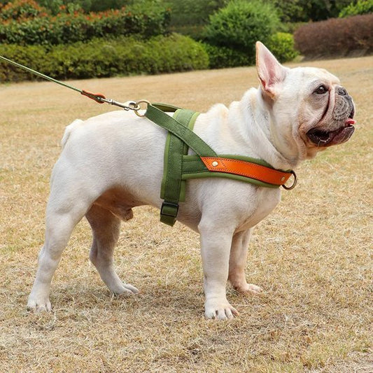 harnais anti traction chien easywalker vert militaire bouledogue francais parc a chien profil droit
