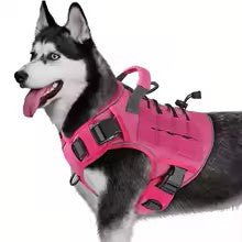 harnais chien anti traction horizon k9 rose