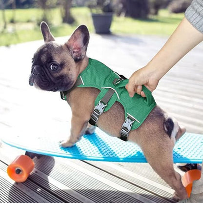 harnais chien safedog vert bouledogue francais planche roulette