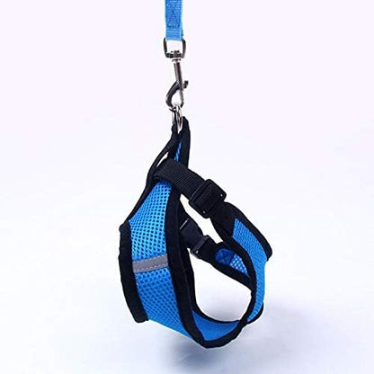 Harnais Petit Chien - DogHarnessLeadLeash™ - Bleu - Tout pour Papattes