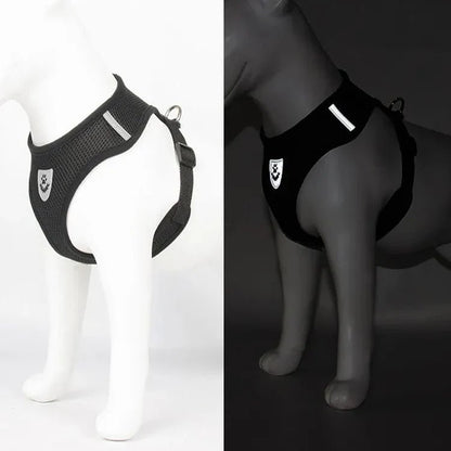 Harnais Petit Chien - DogHarnessLeadLeash™ - Noir - Tout pour Papattes