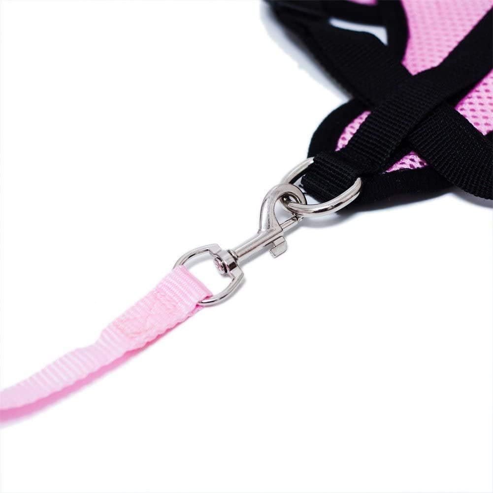 Harnais Petit Chien - DogHarnessLeadLeash™ - Rose - Tout pour Papattes