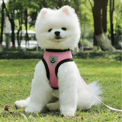 Harnais Petit Chien - DogHarnessLeadLeash™ - Rose - Tout pour Papattes