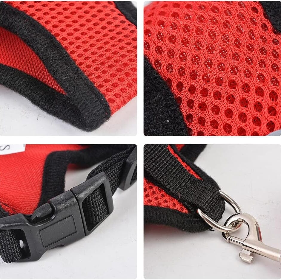 Harnais Petit Chien - DogHarnessLeadLeash™ - Rouge - Tout pour Papattes
