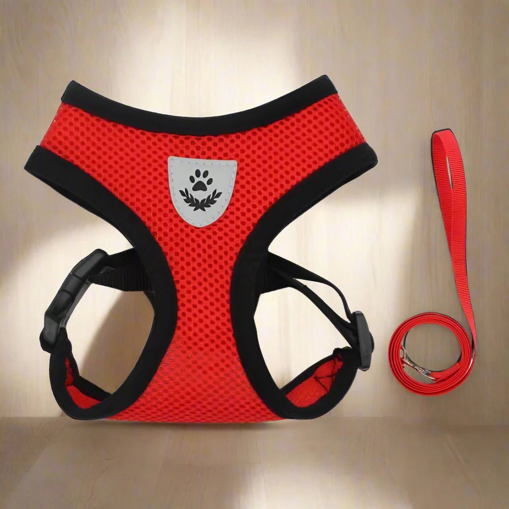 Harnais Petit Chien - DogHarnessLeadLeash™ - Rouge - Tout pour Papattes
