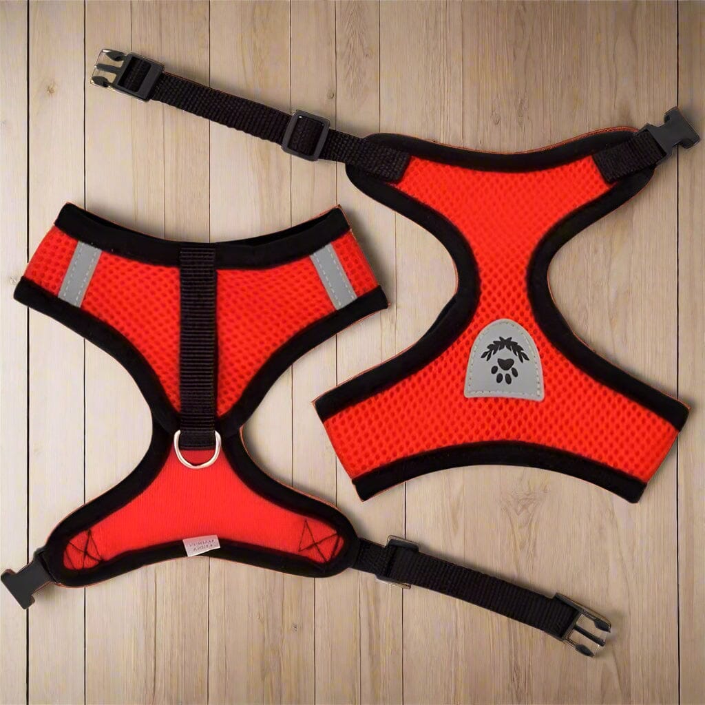 Harnais Petit Chien - DogHarnessLeadLeash™ - Rouge - Tout pour Papattes