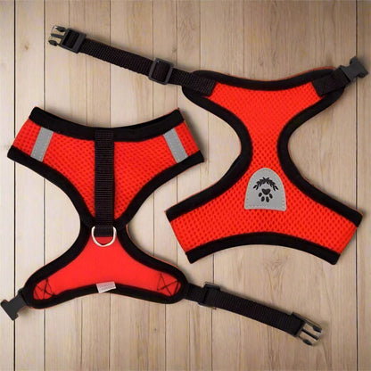 Harnais Petit Chien - DogHarnessLeadLeash™ - Rouge - Tout pour Papattes