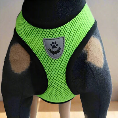 Harnais Petit Chien - DogHarnessLeadLeash™ - Vert - Tout pour Papattes