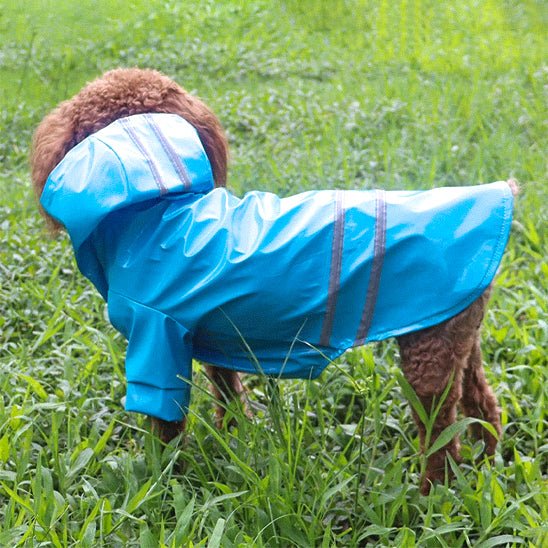 impermeable pour chien keepdry buddy bleu chien debout de profil