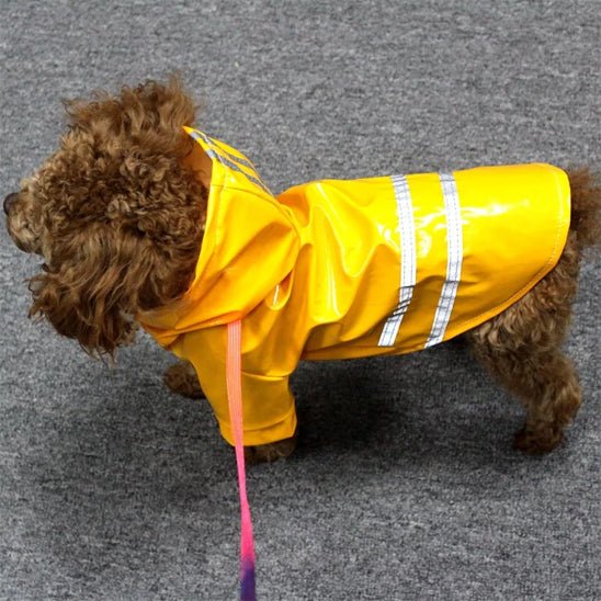 impermeable pour chien keepdry buddy jaune chien de profil