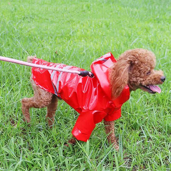 impermeable pour chien keepdry buddy rouge chien se deplace en laisse