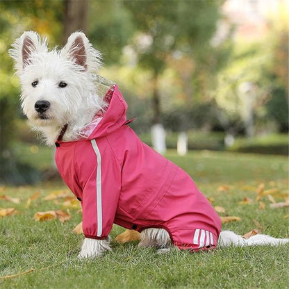 impermeable pour chien pawveralls bordeaux westie observe parc assis