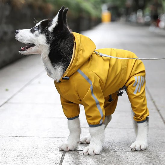 impermeable pour chien pawveralls jaune husky profil debout joyeux