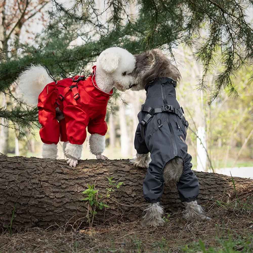 impermeable pour chien weathershield gris rouge bichon et schnauzer