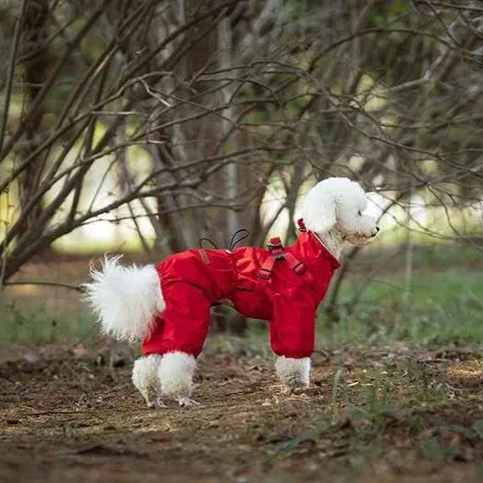 impermeable pour chien weathershield rouge bichon de profil devant arbuste