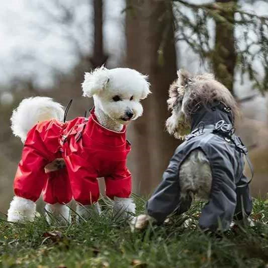 impermeable pour chien weathershield rouge gris bichon schnauzer discussion de chiens