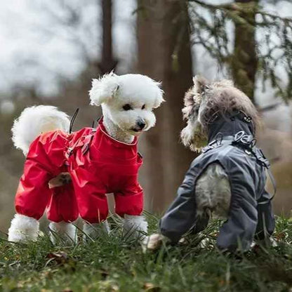 impermeable pour chien weathershield rouge gris bichon schnauzer discussion de chiens