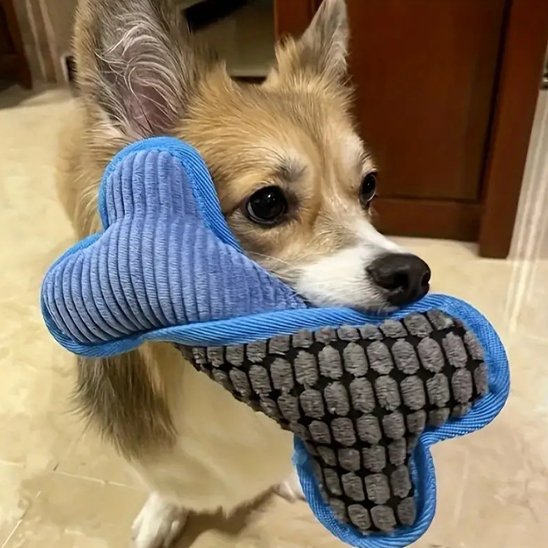 jouet chien funny bone bleu chihuahua promene son jouet