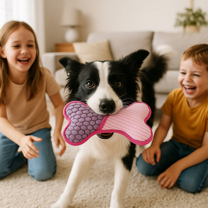 jouet chien funny bone rose border collie joue avec enfants au salon