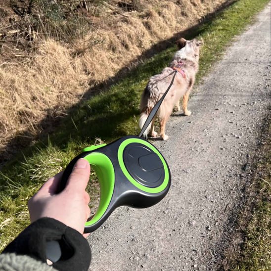 laisse chien caniroll vert moyen chien