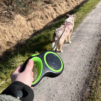 laisse chien caniroll vert moyen chien
