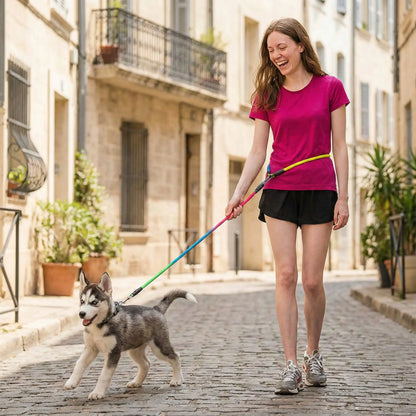 laisse chien main libre freedom walker bebe husky marche ville ancestrale avec maitresse