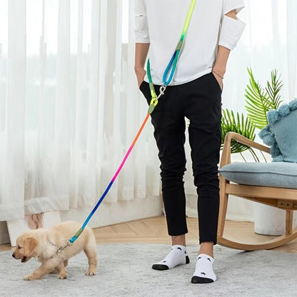 laisse chien main libre freedom walker chiot curieux avec maitre dans sejour