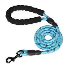 laisse pour chien caniconfort bleu