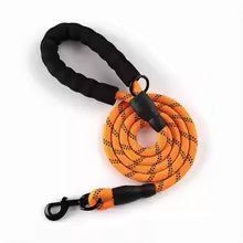 laisse pour chien caniconfort orange