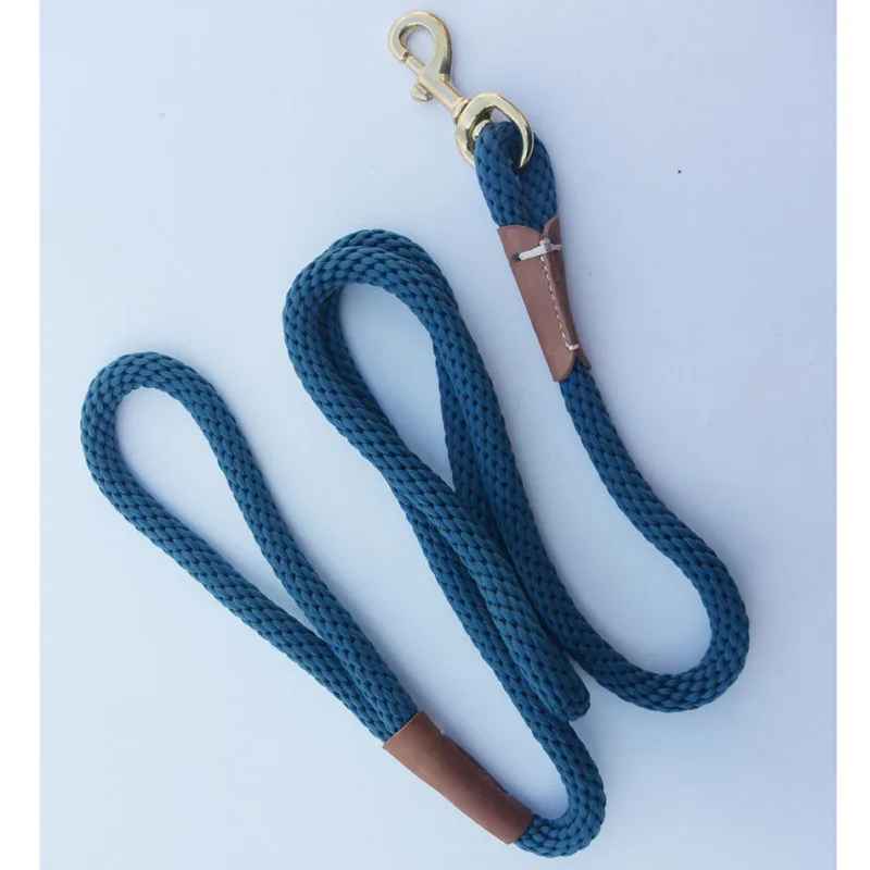 laisse pour chien canicorde bleu