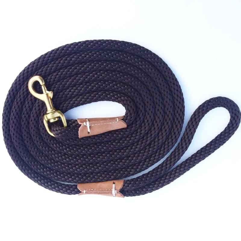 laisse pour chien canicorde cafe
