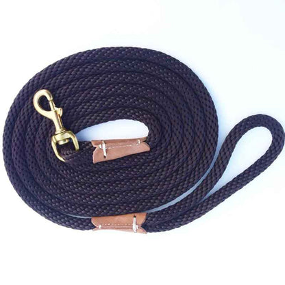 laisse pour chien canicorde cafe