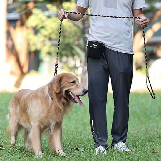 laisse pour chien canicorde golden retriever
