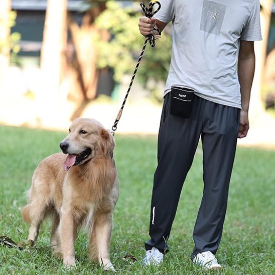 laisse pour chien canicorde golden