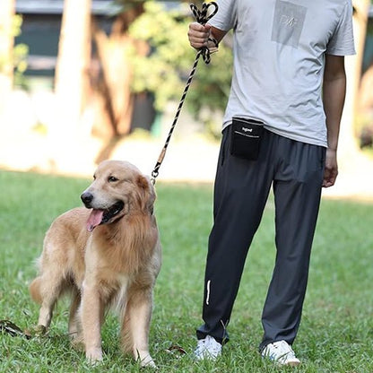 laisse pour chien canicorde golden