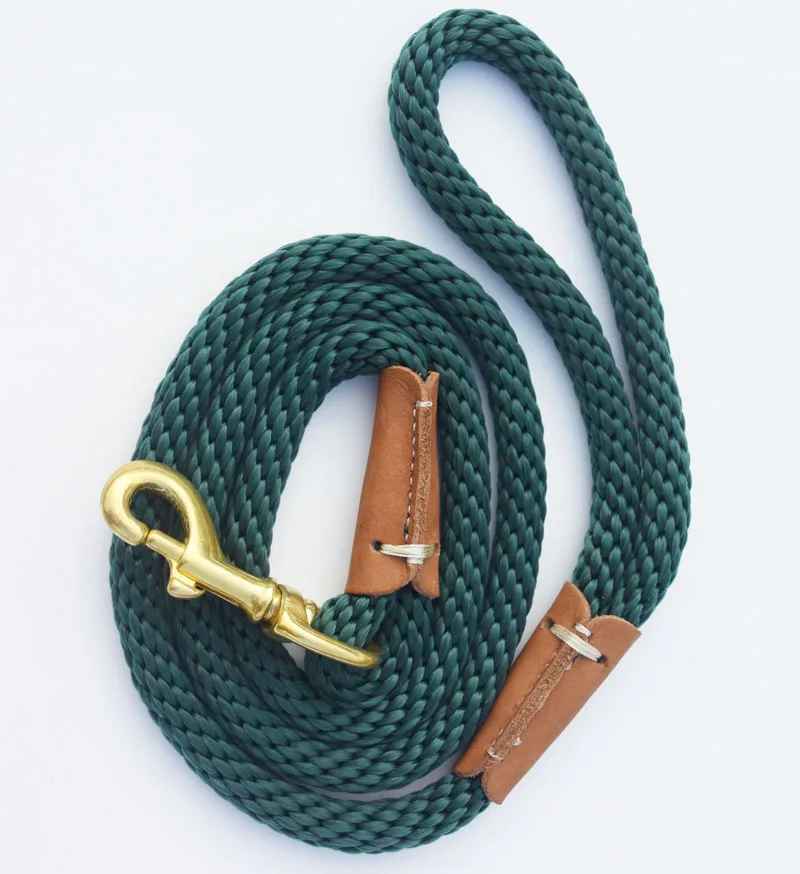 laisse pour chien canicorde vert