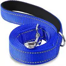 laisse pour chien canileash bleu