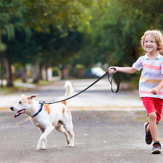 laisse pour chien canileash jack russel terrier avec enfant