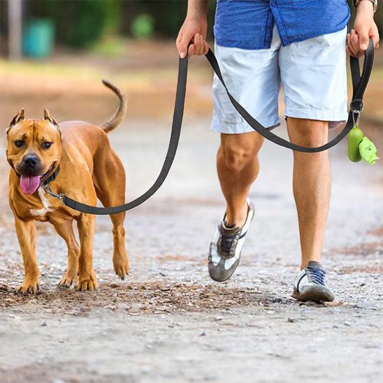 laisse pour chien canileash noire maitre