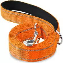 laisse pour chien canileash orange