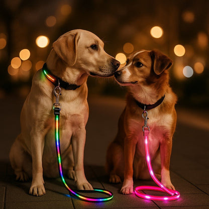 laisse pour chien caniled presentation deux couleurs multicolore et rose calin chien